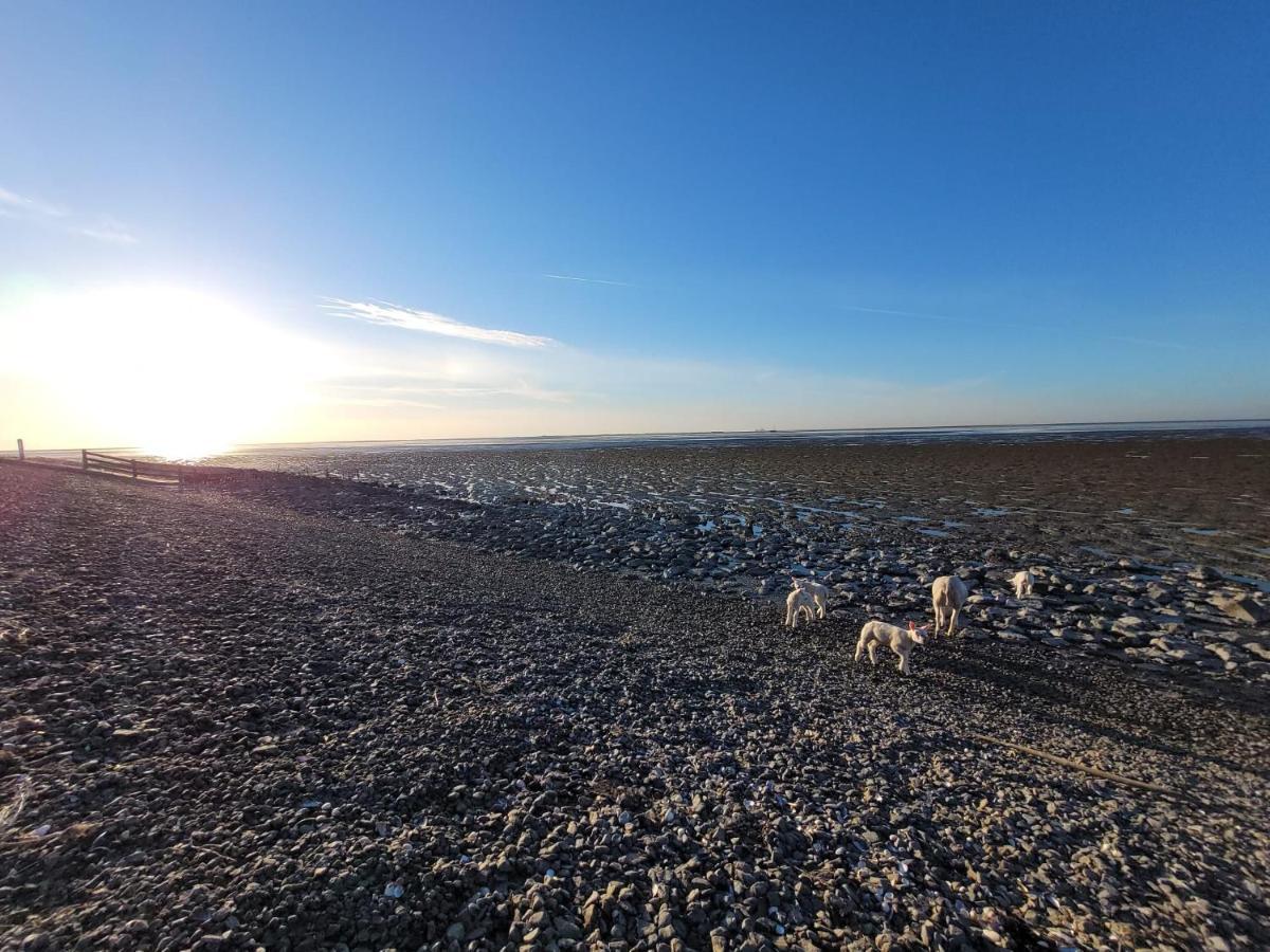 Wierums Huske Aan De Waddenzee Unesco Werelderfgoed Екстер'єр фото