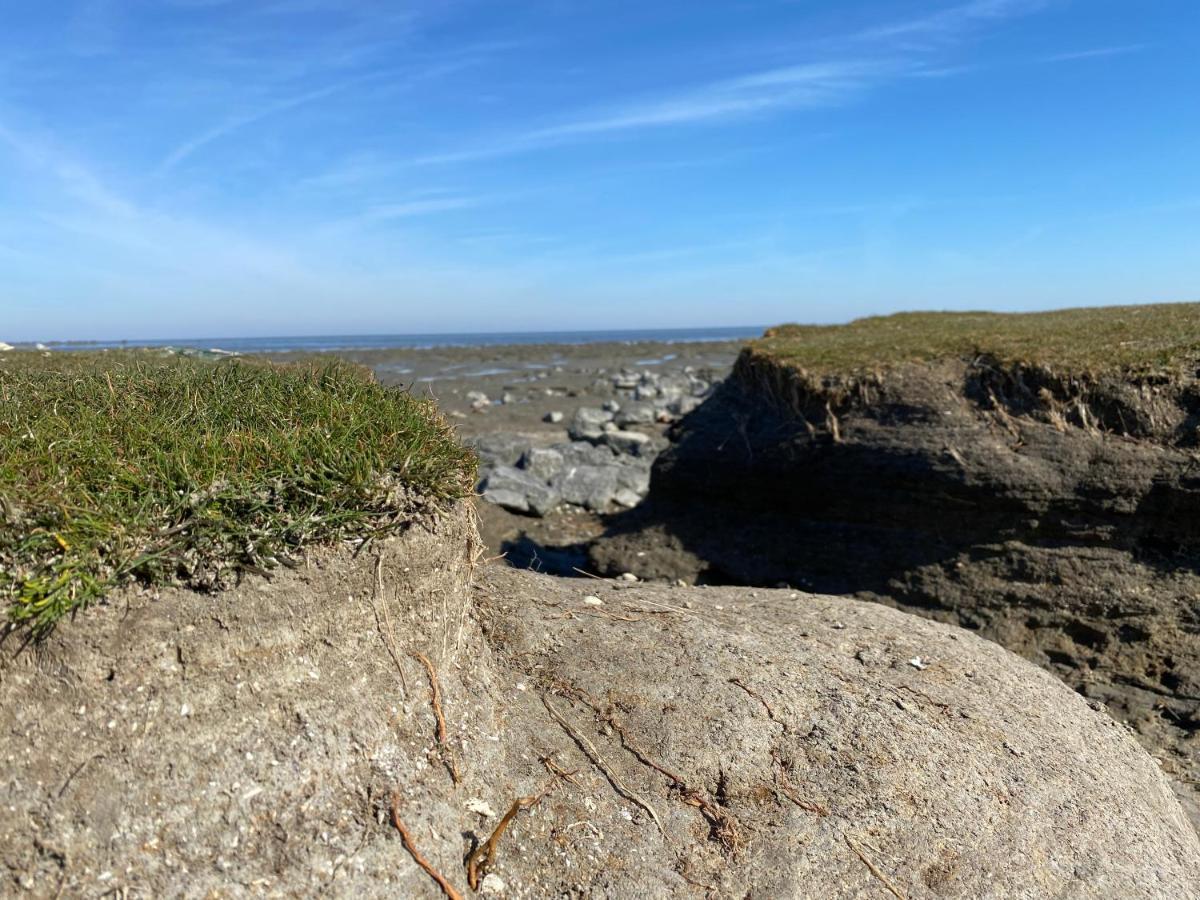 Wierums Huske Aan De Waddenzee Unesco Werelderfgoed Екстер'єр фото