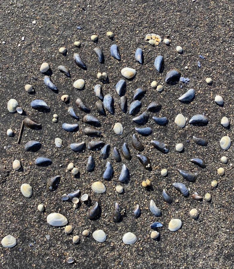 Wierums Huske Aan De Waddenzee Unesco Werelderfgoed Екстер'єр фото